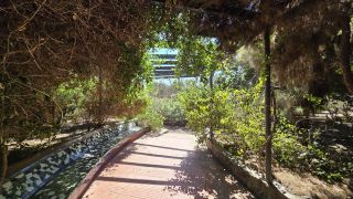 GC-Parque Botanico de Maspalomas 2025-041.jpg